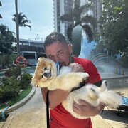 ���������� ������, ���� ������� ���������, 38 ���, ������������ ��� ������, ����� � ���������, c�������� ���������, ���������