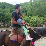 ���������� ���������, ���� ������� ������, 29 ���, ������������ ��� ������, ����� � ���������, c�������� ���������