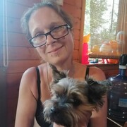 ���������� �����������, ���� ������� �����, 43 ����, ������������ ��� ������, ����� � ���������