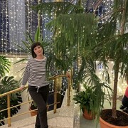 ���������� ����������, ���� ������� ���������, 43 ����, ������������ ��� ������, ����� � ���������