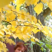  ,   , 59 ,     , c , 