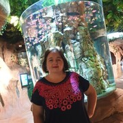  ,   , 42 ,   c , 