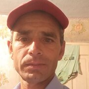 ���������� ������, ���� ������� ����, 46 ���, ������������ ��� ������, ����� � ���������, c�������� ���������, ���������