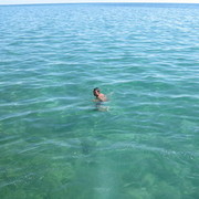 ���������� �����������, ���� ������� �������, 37 ���, ������������ ��� ������, ����� � ���������, c�������� ���������