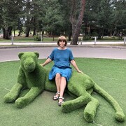  ,   , 61 ,     , c 