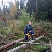  ,   , 55 ,   , 