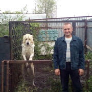  Lugoj,  , 43