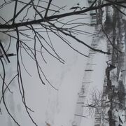 ,   , 50 ,   ,   , c 
