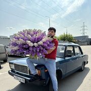 ���������� ������, ���� ������� Roma, 33 ����, ������������ ��� ������, ����� � ���������