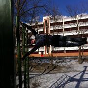 ���������� ������, ���� ������� ������, 35 ���, ������������ ��� ����� � ���������, c�������� ���������