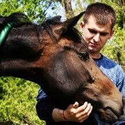 ���������� ��������������, ���� ������� Roman, 39 ���, ������������ ��� ������, ����� � ���������, c�������� ���������