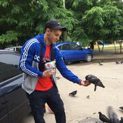 ���������� ��������, ���� ������� ���������, 29 ���, ������������ ��� ������, ����� � ���������