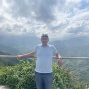  ,   , 43 ,     , 
