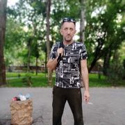  -,   , 48 ,   ,   