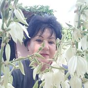 �� ������� ����