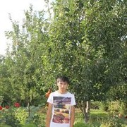  ,  aibol, 31