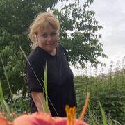  -,   , 49 ,   ,   