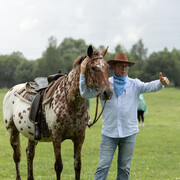 ���������� ��������, ���� ������� ����, 51 ���, ������������ ��� c�������� ���������, ���������