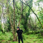 ���������� �����������, ���� ������� ���������, 29 ���, ������������ ��� ������, ����� � ���������, c�������� ���������