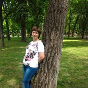  --,   , 52 ,   