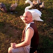 ���������� �������, ���� ������� ���������, 47 ���, ������������ ��� ������, ����� � ���������