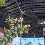  ,     , 29 ,   ,   , c 
