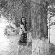 ���������� �������, ������� �����, 33