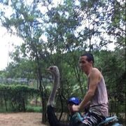 ,   , 35 ,   ,   