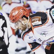 ���������� �����-���������, ���� ������� �������, 26 ���, ������������ ��� ������, ����� � ���������, c�������� ���������