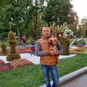 ���������� ����, ���� ������� �����, 43 ����, ������������ ��� ������, ����� � ���������