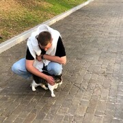  ,   , 22 ,   