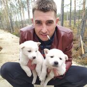 ���������� ������, ���� ������� Sema, 40 ���, ������������ ��� ������, ����� � ���������