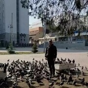 ���������� �����, ���� ������� ��������, 50 ���, ������������ ��� ������, ����� � ���������, c�������� ���������