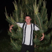 ���������� ���������, ���� ������� ����, 37 ���, ������������ ��� ������, ����� � ���������, c�������� ���������