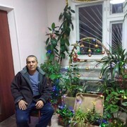 ���������� �������, ���� ������� ����, 53 ����, ������������ ��� ������, ����� � ���������, ���������