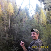  ,  NoMaD, 41