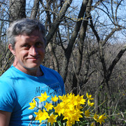 ���������� ����-��������, ������� ��������, 50