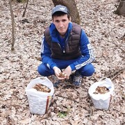  ,   , 35 ,   ,   