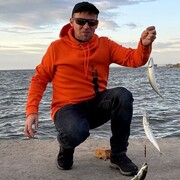  ,   , 38 ,   ,   , 