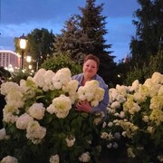  ,   , 52 ,   ,   