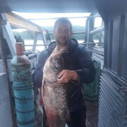 ���������� ���������, ���� ������� ������, 41 ���, ������������ ��� ����� � ���������, c�������� ���������, ���������