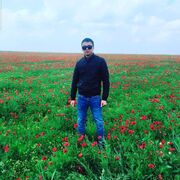 ���������� ���������, ���� ������� ������, 33 ����, ������������ ��� ������, ����� � ���������