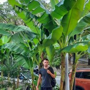 ���������� ������-��-����, ���� ������� Ivan, 37 ���, ������������ ��� ������, ����� � ���������