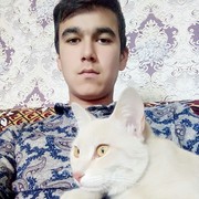  ,   , 28 ,     , c , 