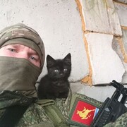  ,   Nikolay, 37 ,     , c 