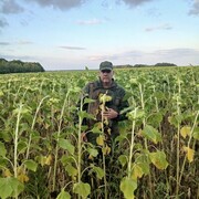   ,   , 49 ,   ,   , c 