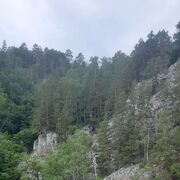 ���������� ��������, ���� ������� ������, 46 ���, ������������ ��� c�������� ���������