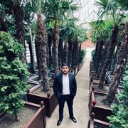 ���������� ����, ���� ������� �����, 33 ����, ������������ ��� ������, ����� � ���������