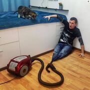 ���������� ������, ���� ������� ���������, 36 ���, ������������ ��� ����� � ���������, c�������� ���������