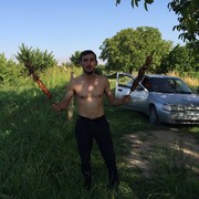 ���������� ������, ���� ������� MOVSES, 38 ���, ������������ ��� ����� � ���������, c�������� ���������